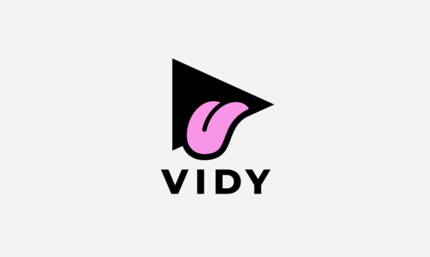 Mengenal Lebih Dalam Vidy Coin
