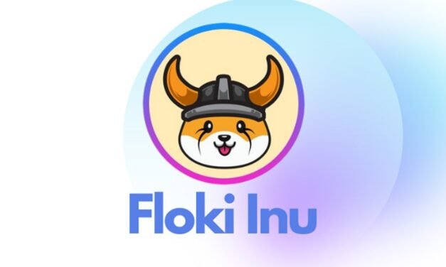 Mengenal Project Floki Inu dengan Orientasi Komunitas